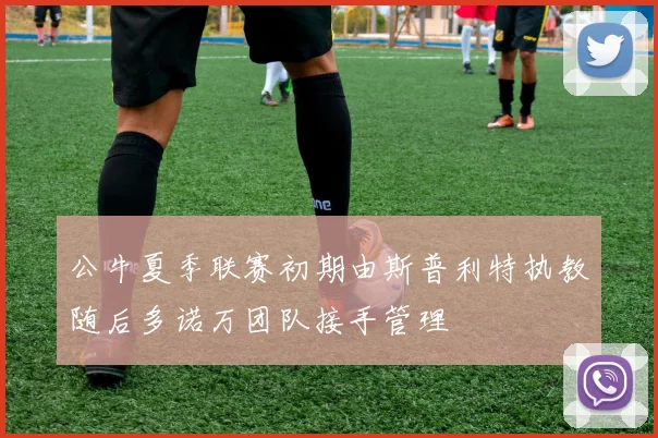 公牛夏季联赛初期由斯普利特执教随后多诺万团队接手管理