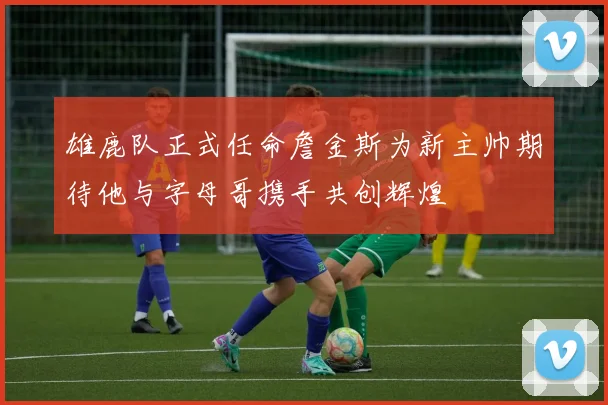 雄鹿队正式任命詹金斯为新主帅期待他与字母哥携手共创辉煌