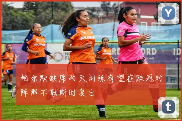 帕尔默缺席两天训练有望在欧冠对阵那不勒斯时复出